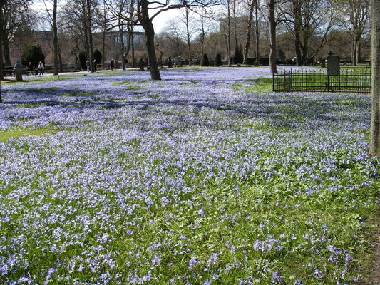 Preview of imgp4391.jpg