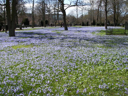 Preview of imgp4392.jpg