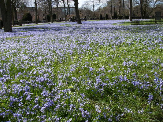 Preview of imgp4393.jpg